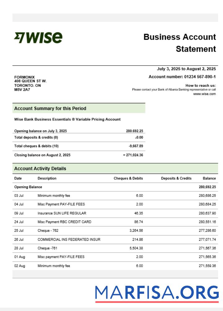 Blank Wise company checking account statement Word and PDF template